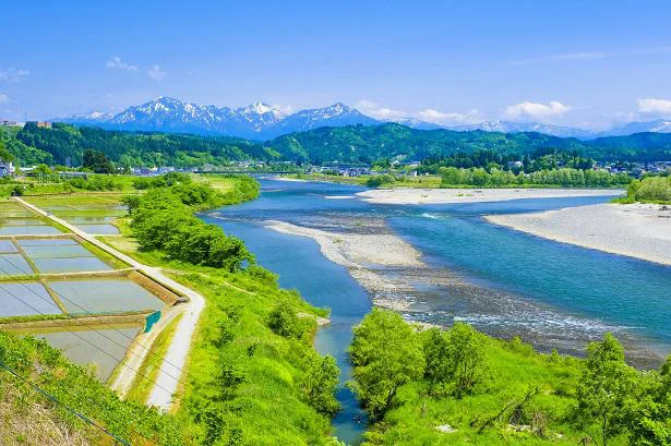 山々と清流に囲まれた魚沼地方で育てられたコシヒカリ