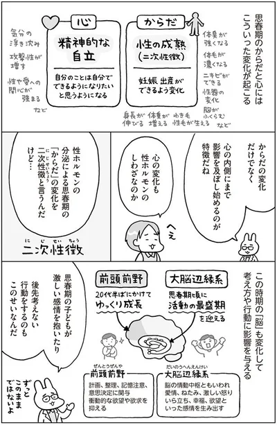 心の変化も性ホルモンのしわざなのか