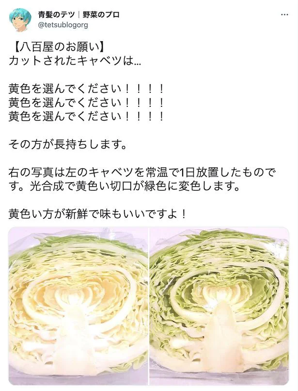 キャベツは黄色を探そう!/一玉まるごと買ってもOK!キャベツ活用レシピ(1/31)