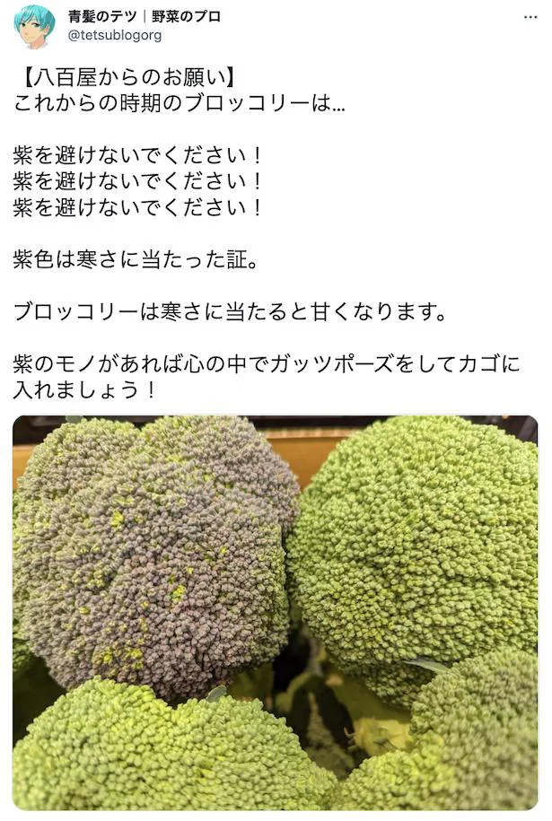 むらさき色のブロッコリーを探せ!/紫ブロッコリーをゲットしたら試したいレシピ(1/32)