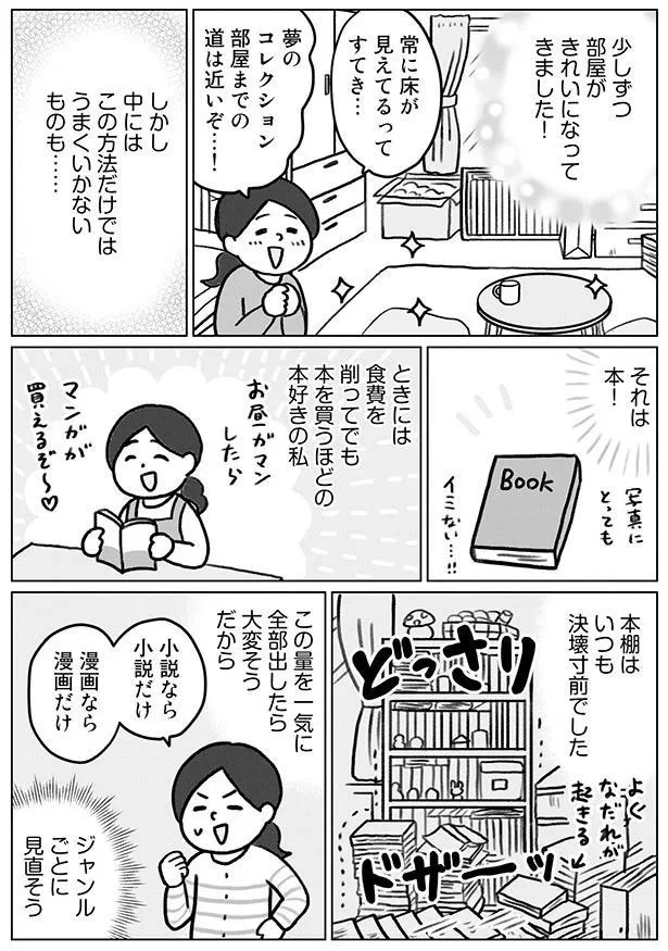本棚はいつも決壊寸前でした