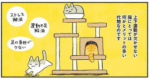 猫にとって何かとメリットの多いキャットタワー。苦労して立てた結果!?／茶トラのやっちゃんとちーちゃん（2）