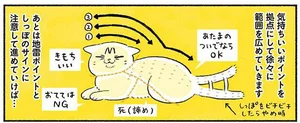 ブラッシングが苦手なうちの猫。高級ブラシを試したらサラツヤボディに！／茶トラのやっちゃんとちーちゃん（3）