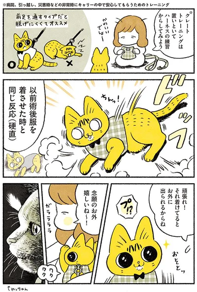 念願のお外嬉しいね～！