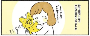 愛猫の避難対策、何もしてなかった！ 私と猫の同行避難訓練／茶トラのやっちゃんとちーちゃん（6）