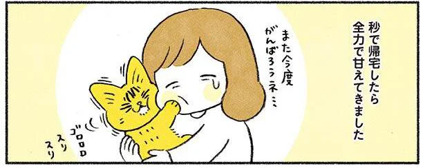 秒で帰宅したら全力で甘えてきました