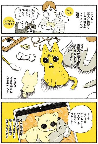 うまくやっていけるだろうか…