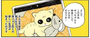 愛猫といつまでも仲良く暮らすと思ってた。そんな我が家に新たな子猫がやってくる！／茶トラのやっちゃんとちーちゃん（8）