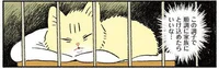 ついに子猫がやってきた！ 先住猫も落ち着いていて、現在は順調のようです／茶トラのやっちゃんとちーちゃん（9）