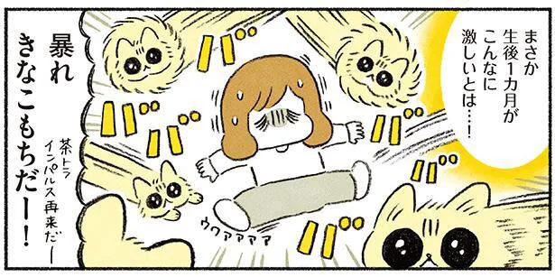 暴れきなこもちだー!