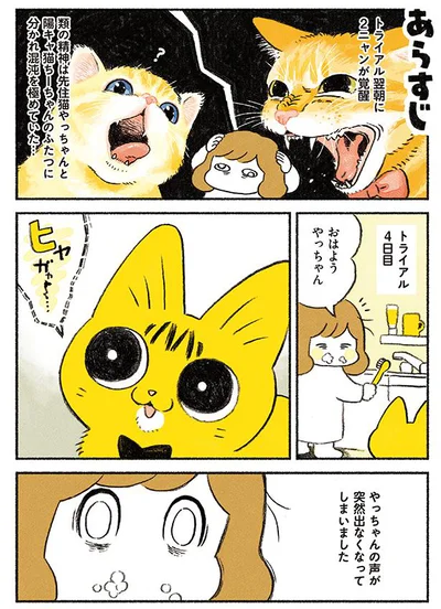 声が突然出なくなってしまった猫