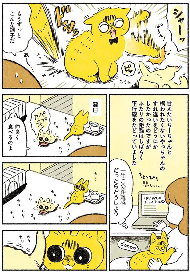 一生この距離感だったらどうしよう