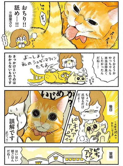 誤解です！