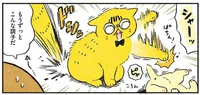 突然目覚めた先住猫の母性。こうして子猫の正式なお迎えを決意しました！／茶トラのやっちゃんとちーちゃん（12）