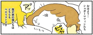我が家の猫はどちらもペロリスト。なんとなく愛と優しさを感じる朝／茶トラのやっちゃんとちーちゃん（15）