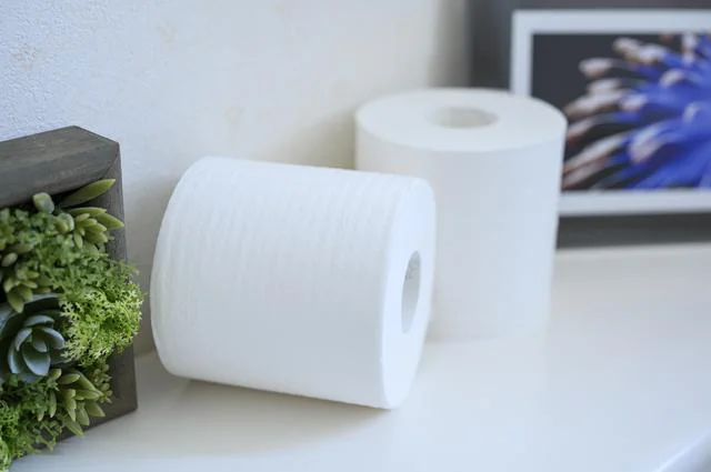 訪問先でトイレを借りるときはひとこと。ペーパーの「三角折り」はしなくてOK！