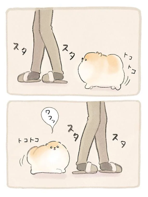 『ふわふわポメのぽぽち』