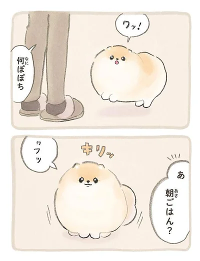 『ふわふわポメのぽぽち』