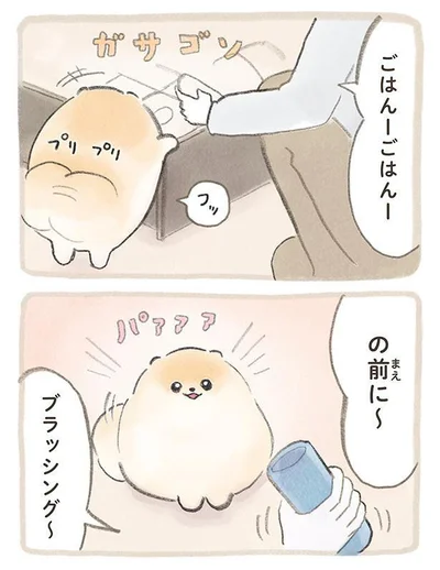 『ふわふわポメのぽぽち』