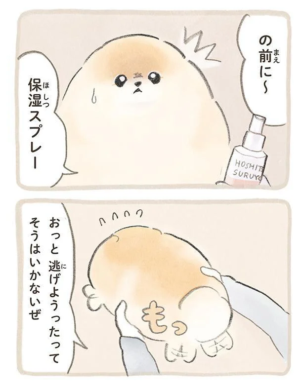 『ふわふわポメのぽぽち』