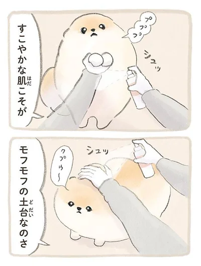 『ふわふわポメのぽぽち』