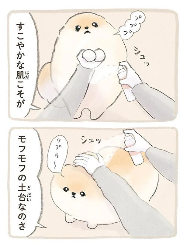 『ふわふわポメのぽぽち』