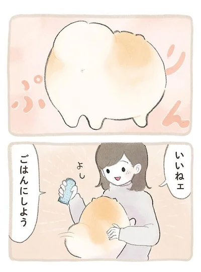 『ふわふわポメのぽぽち』