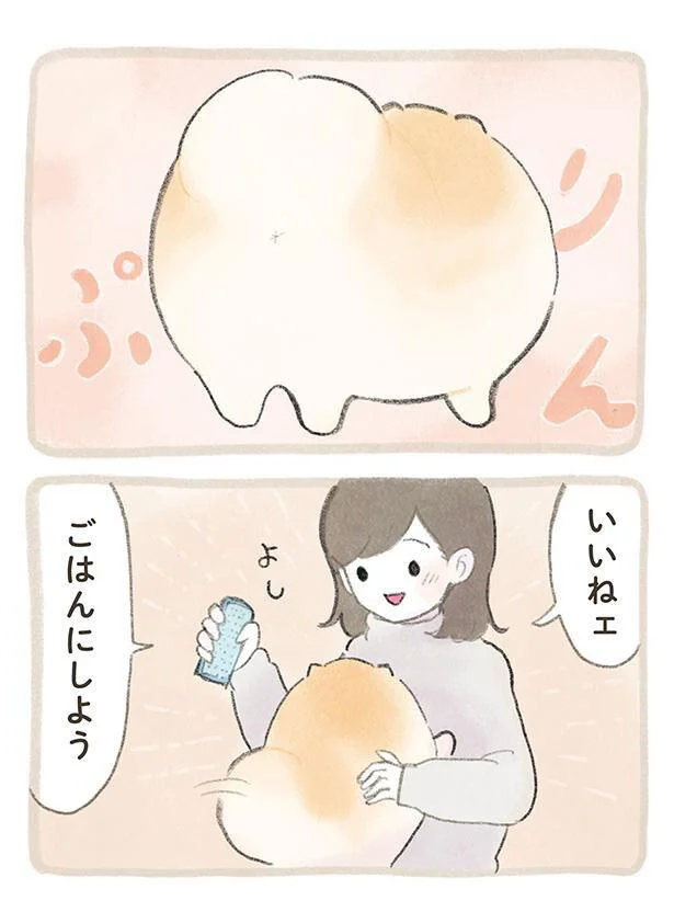 『ふわふわポメのぽぽち』