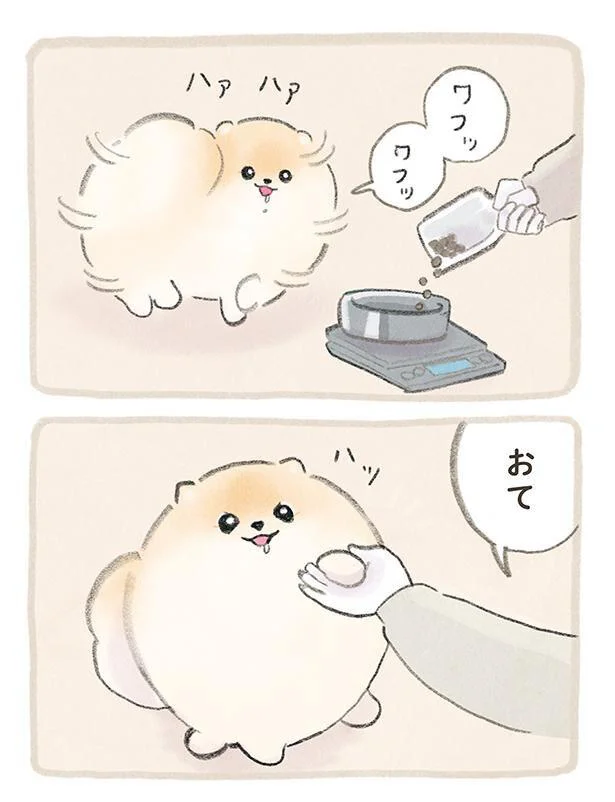 『ふわふわポメのぽぽち』