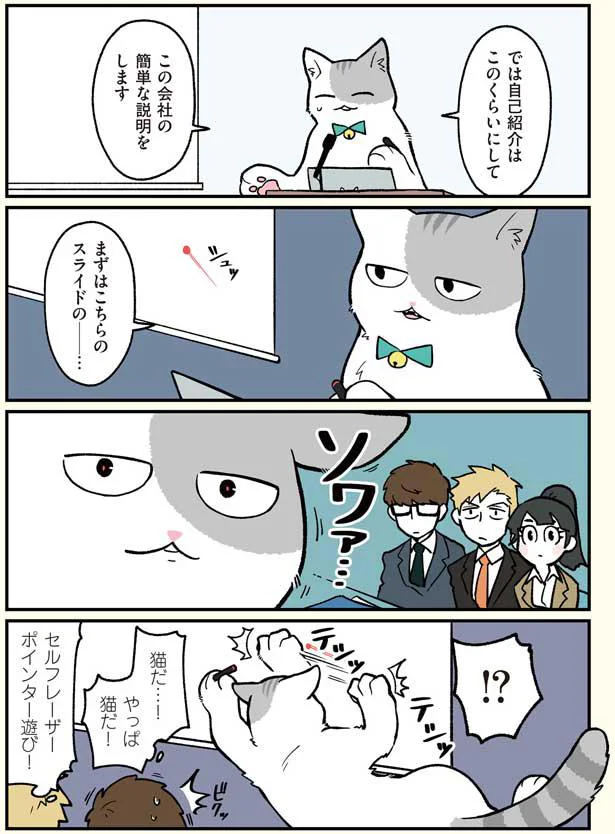 やっぱ猫だ…！