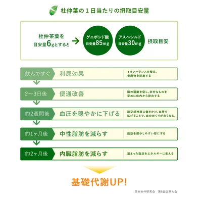 杜仲葉の1日当たりの摂取目安量は6g