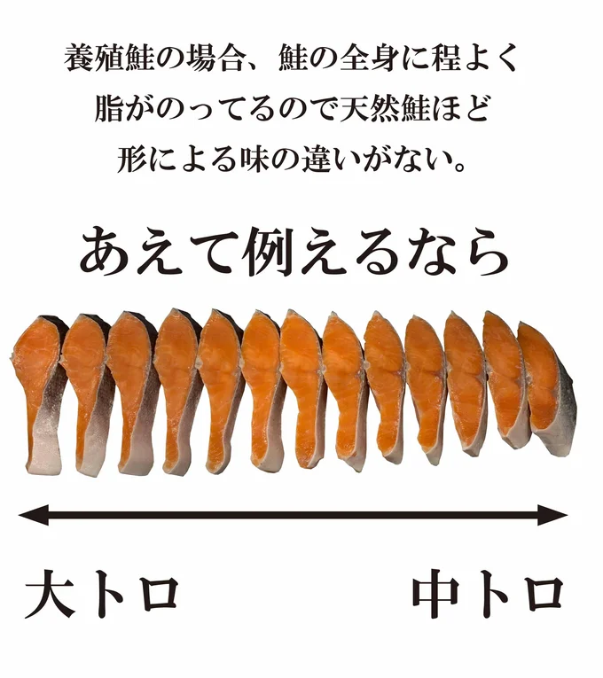 養殖の場合、鮭の大トロから中トロはココ