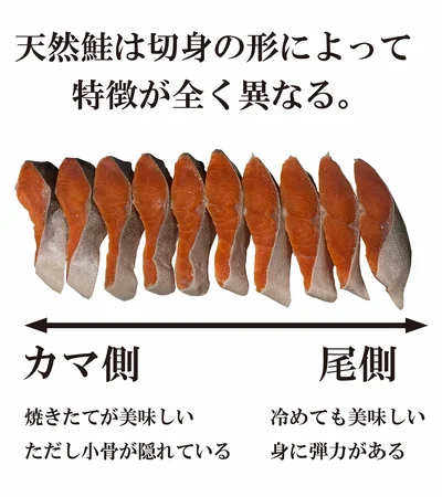 天然は切り身の部位によって特徴が異なる