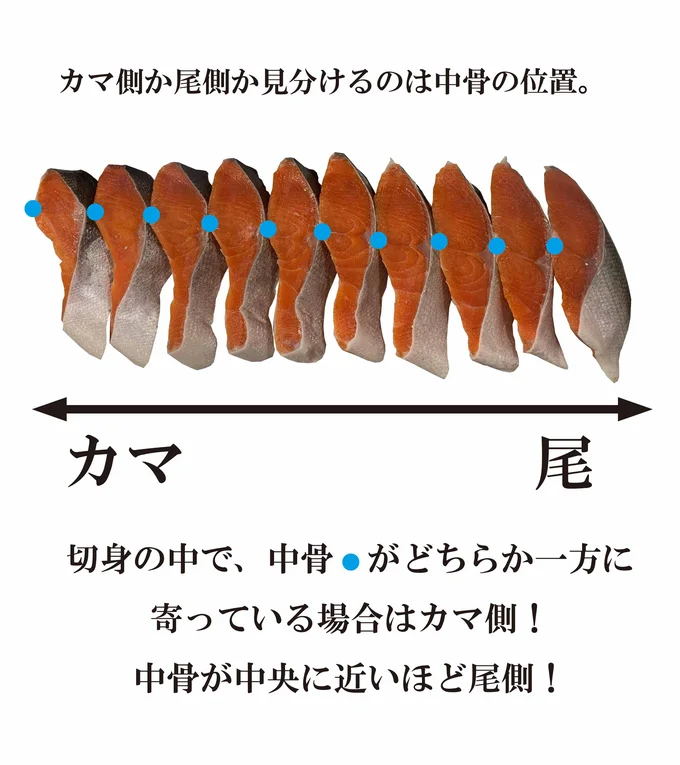 切り身の骨の位置を確認