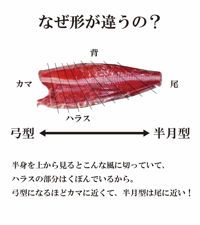 切り身の形が違う理由って？