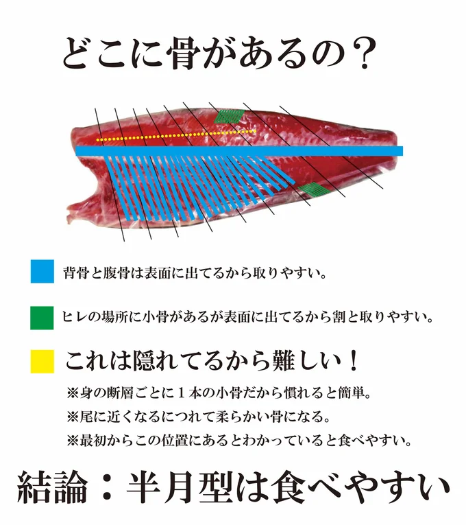 骨のある場所はココ