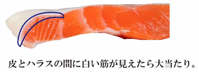 鮭の美味しい証拠はココ