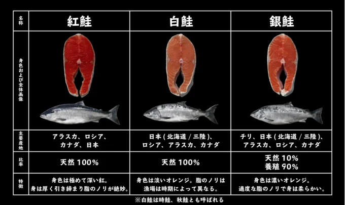 紅鮭、白鮭、銀鮭の特徴一覧