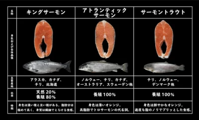 キングサーモン、アトランティックサーモン、サーモントラウトの特徴一覧