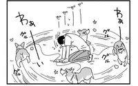 あしょんでよッ！体力あり余るコーギー犬との公園遊び。飼い主さんも体力勝負!?／あしょんでよッ 〜うちの犬ログ〜2（2）