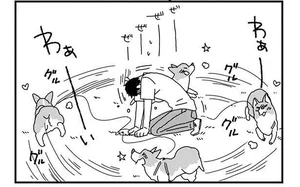 あしょんでよッ！体力あり余るコーギー犬との公園遊び。飼い主さんも体力勝負!?／あしょんでよッ 〜うちの犬ログ〜2（2）