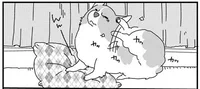 コロンとしたお腹に短い足、コーギー犬のかわいいお悩み／あしょんでよッ 〜うちの犬ログ〜2（3）