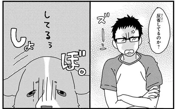 反省してるのか?