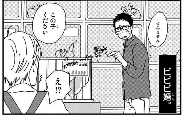 ビビビ婚