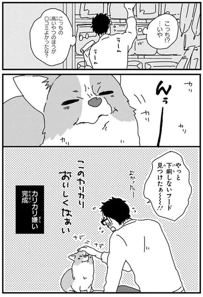 ごはんチョイス2