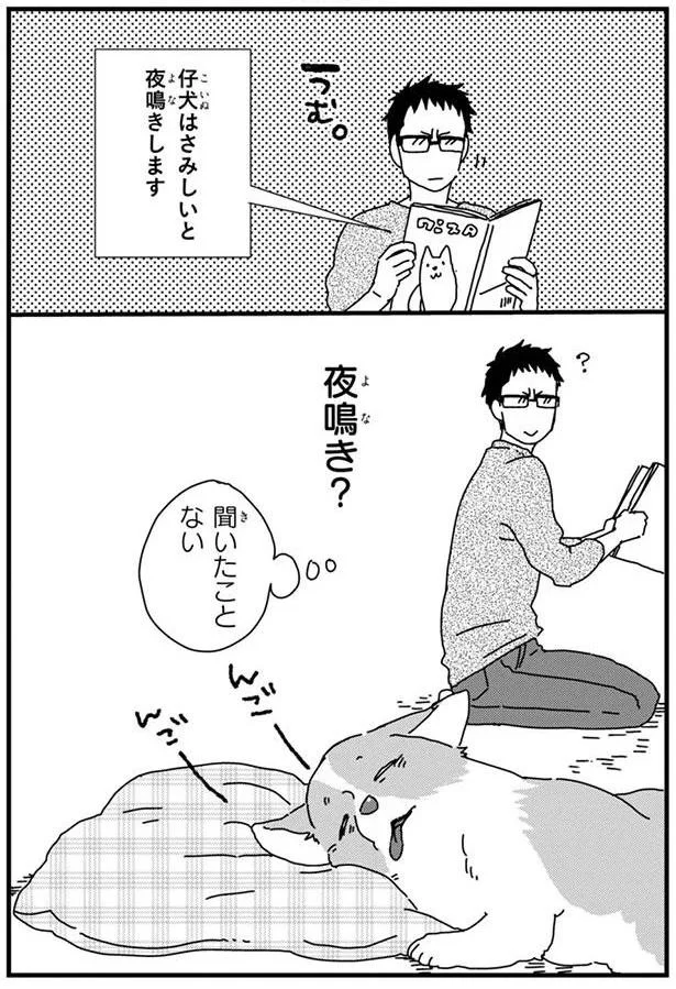 勉強