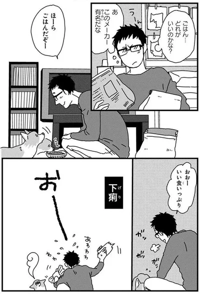 ごはんチョイス
