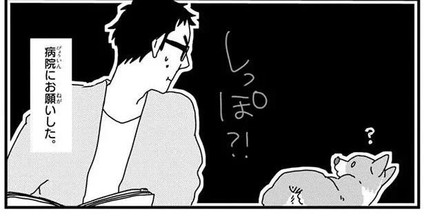 10-0しっぽ?!