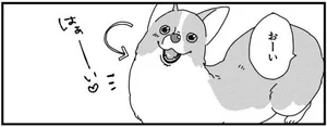 「なんで外だと無視するの？」オンとオフで態度が違いすぎる犬／あしょんでよッ 〜うちの犬ログ〜3（4）