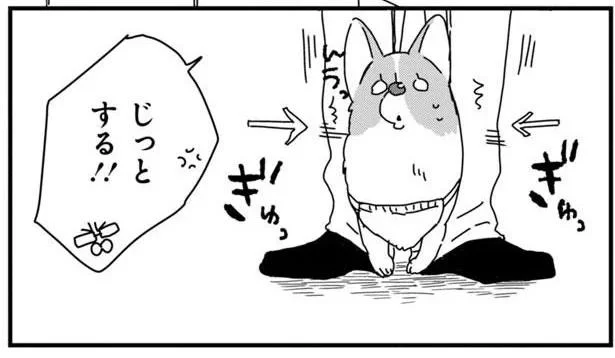 じっとする!